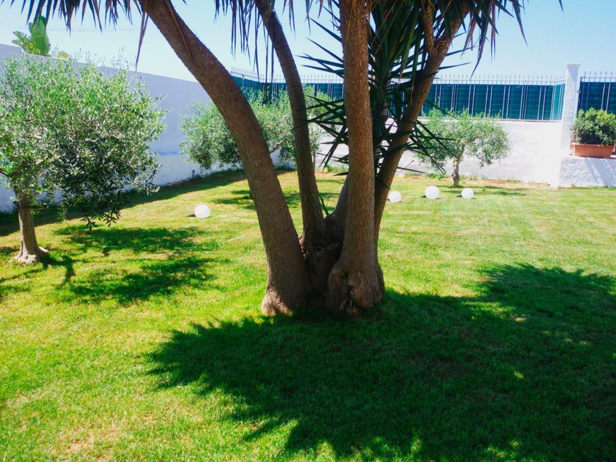 B&B Zagara Marsala Buitenkant foto